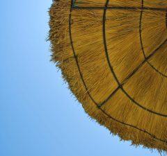 on the beach peering into the blue sky